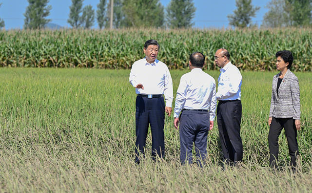 习近平在黑龙江尚志市看望慰问受灾群众