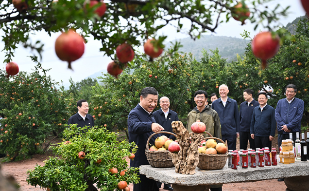 习近平在浙江考察时强调始终干在实处走在前列勇立潮头 奋力谱写中国式现代化浙江新篇章