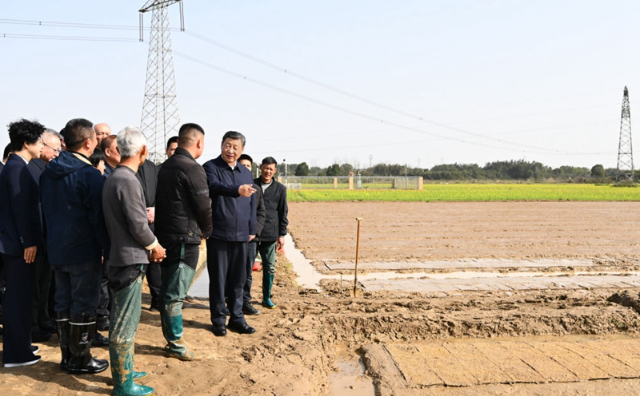 习近平走进农田考察春耕备耕情况