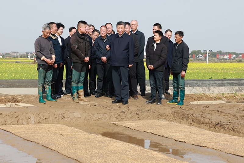 习近平在湖南考察时强调 坚持改革创新求真务实 奋力谱写中国式现代化湖南篇章