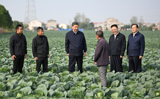 习近平在湖北考察调研